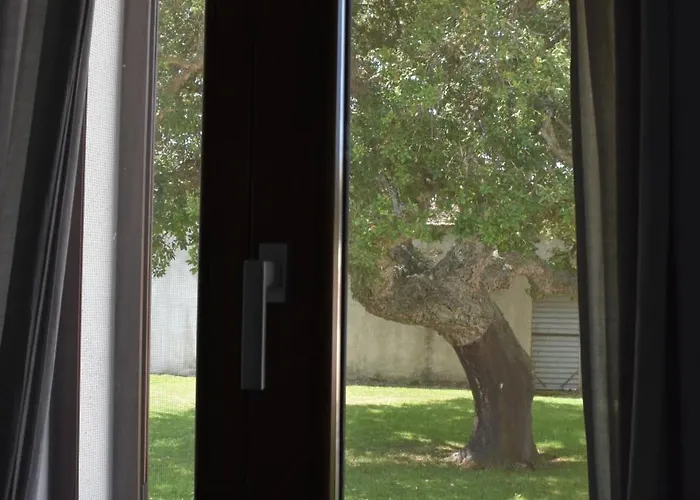 ベッド・アンド・ブレックファスト Il Vecchio Casale 4*