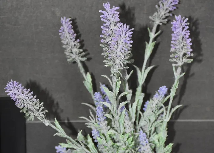 ベッド・アンド・ブレックファスト Il Vecchio Casale 4*